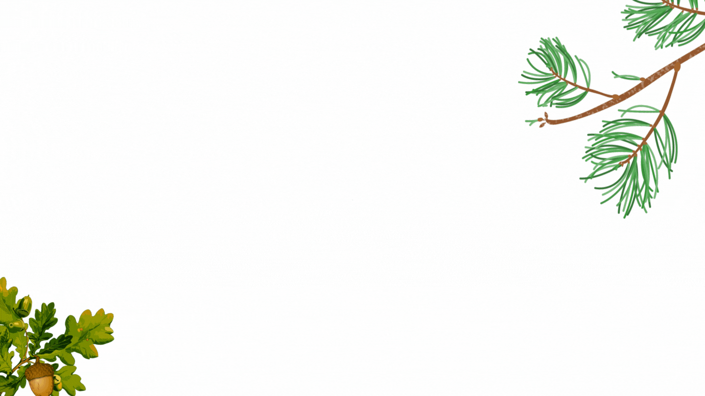 Course Image Producción de árboles forestales y reforestación