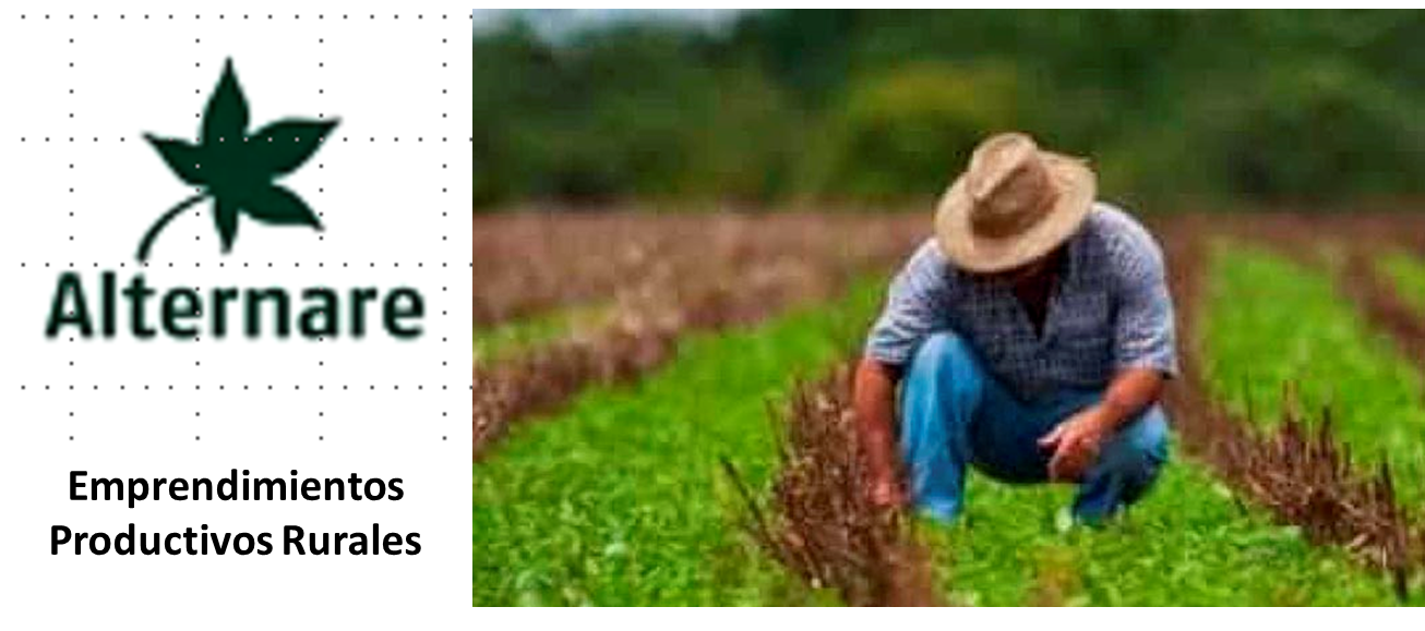 Course Image FORMACIÓN DE INSTRUCTORES 1. MÓDULO PROPEDÉUTICO